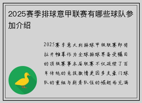 2025赛季排球意甲联赛有哪些球队参加介绍